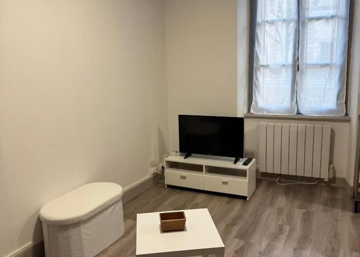 Appartement Plein Centre